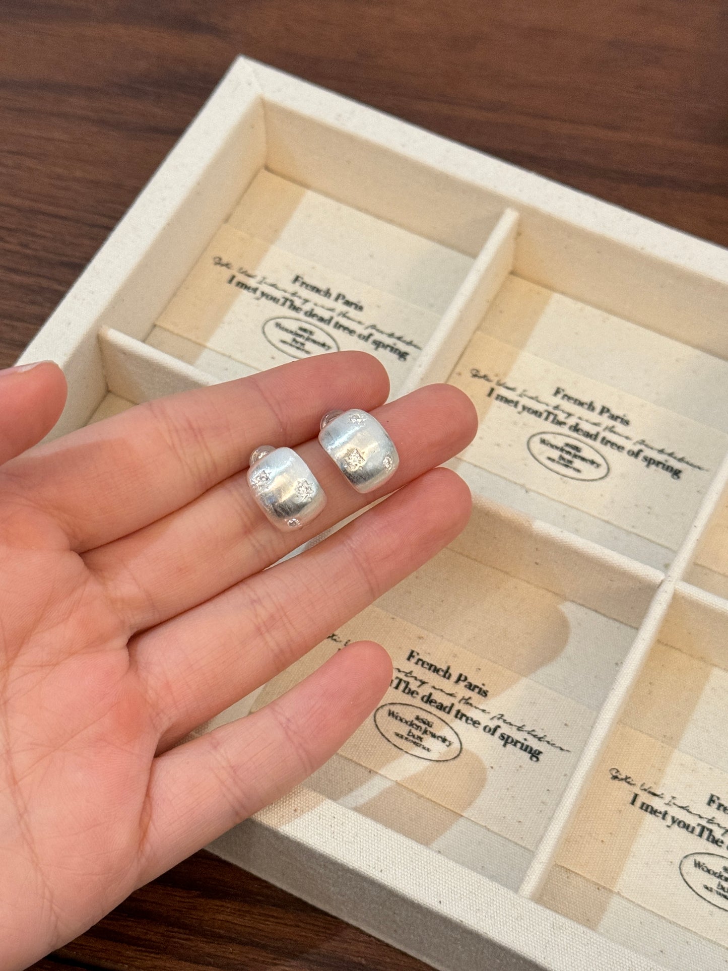 Brushed Earring